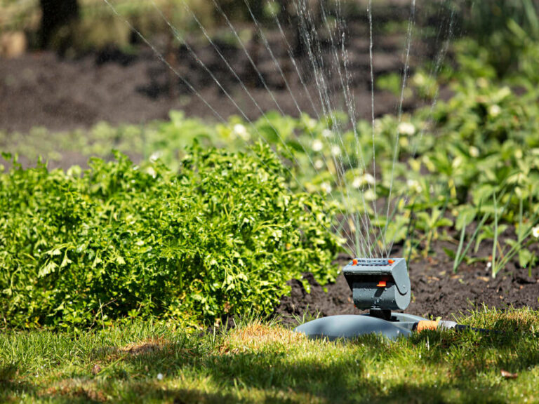 Jak zrobić nawadnianie ogrodu?