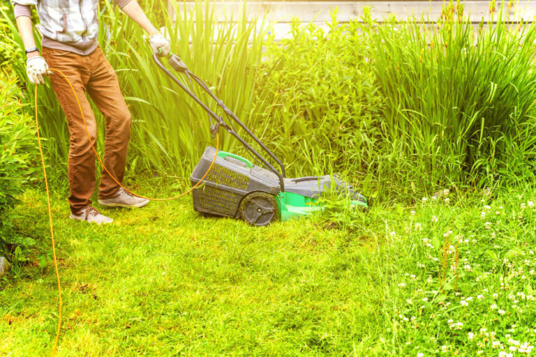 Jak efektywnie kosić trawę?