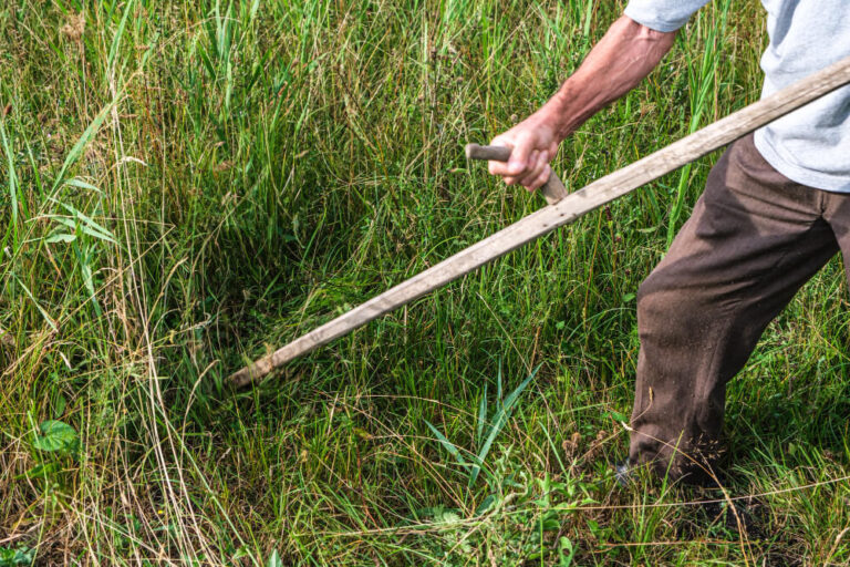 Najlepsze metody koszenia wysokiej trawy